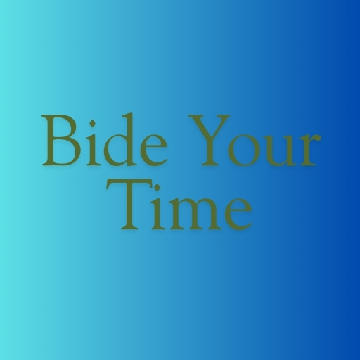 Bide Your Time