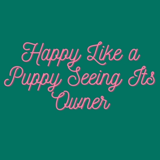 Happy Like a Puppy Seeing Its Owner