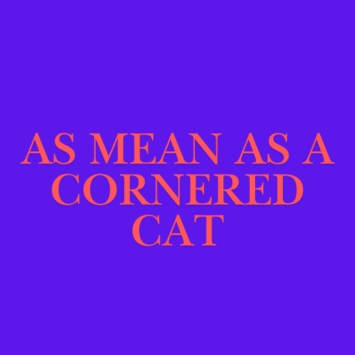 As Mean as a Cornered Cat