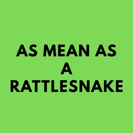 As Mean as a Rattlesnake