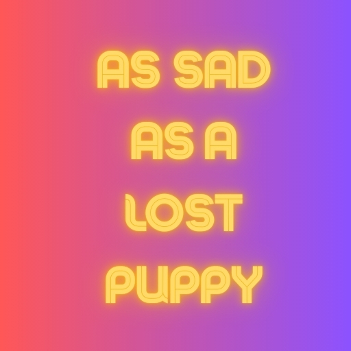 As Sad as a Lost Puppy