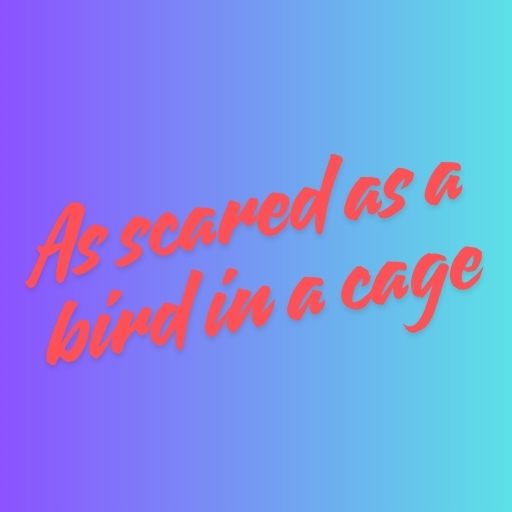 As scared as a bird in a cage