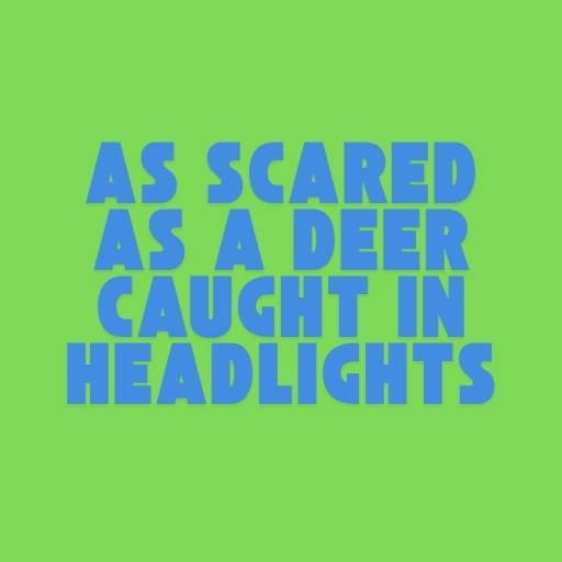As scared as a deer caught in headlights