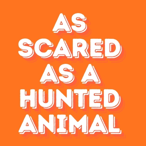 As scared as a hunted animal