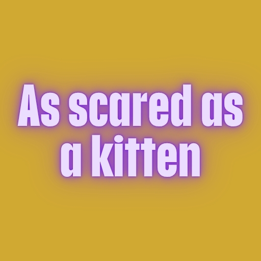 As scared as a kitten