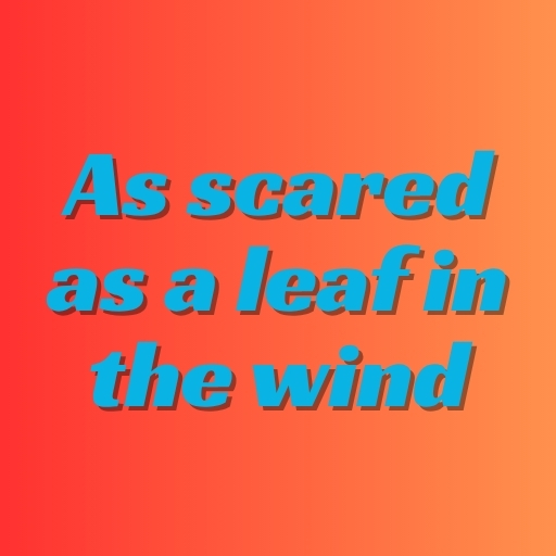 As scared as a leaf in the wind