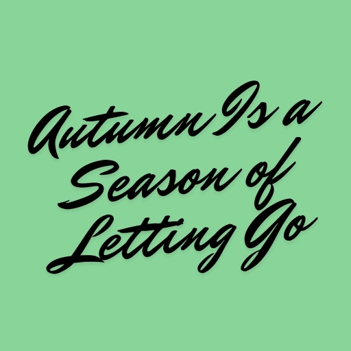 Autumn Is a Season of Letting Go