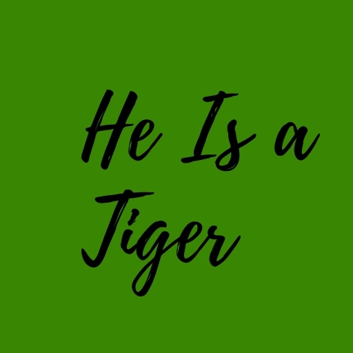 He Is a Tiger