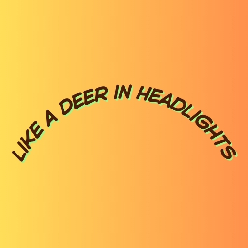 Like a Deer in Headlights
