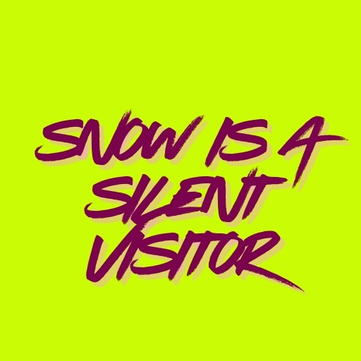 Snow Is a Silent Visitor