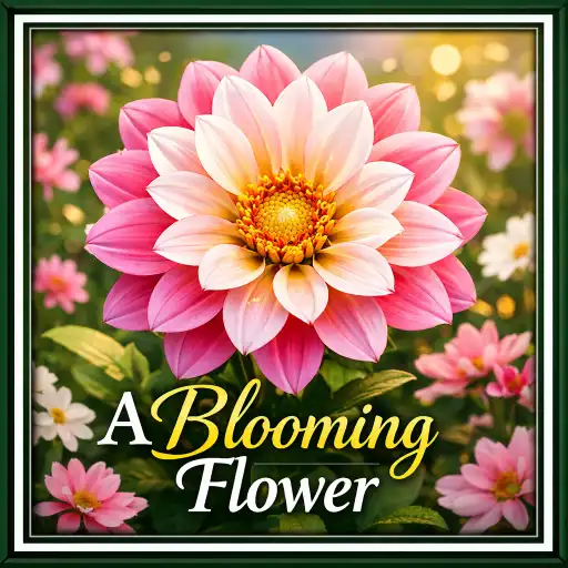 A Blooming Flower