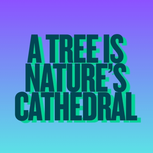 A Tree Is Nature’s Cathedral