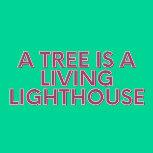 A Tree Is a Living Lighthouse
