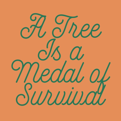 A Tree Is a Medal of Survival
