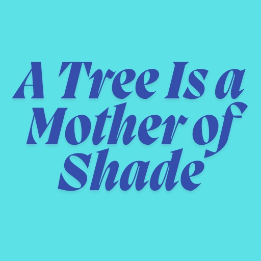 A Tree Is a Mother of Shade