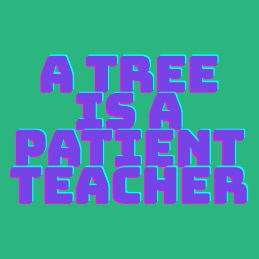 A Tree Is a Patient Teacher