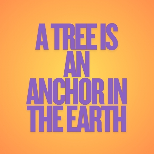 A Tree Is an Anchor in the Earth