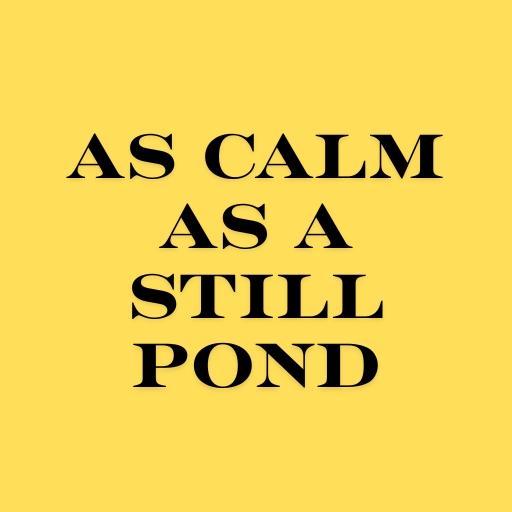 As Calm as a Still Pond