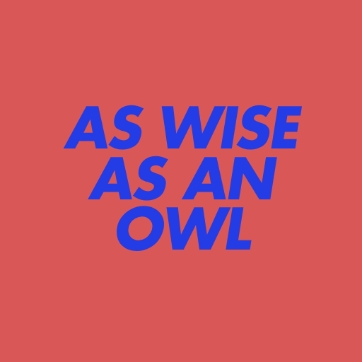 As Wise as an Owl