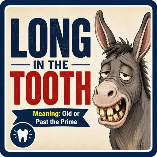 Long in the Tooth