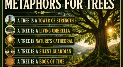 Metaphors for Trees
