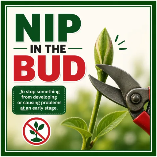 Nip in the Bud