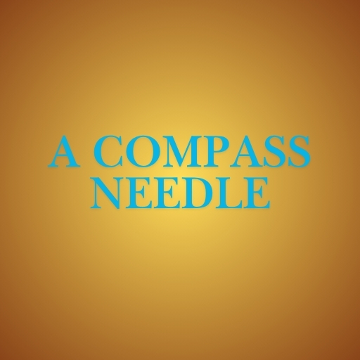 A Compass Needle