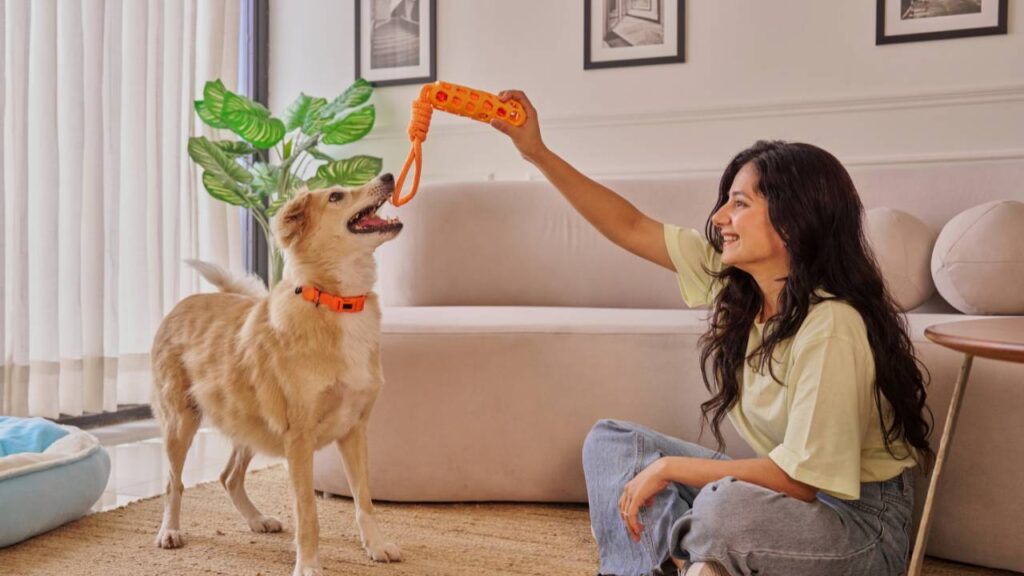 Control Pet Odors